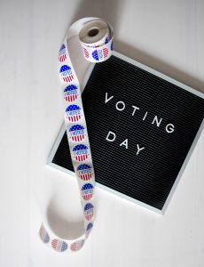 Blue Wave Voiceover Voting Day