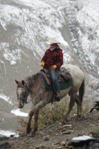 Cowgirl, Western